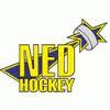 Ned Hockey Nymburk